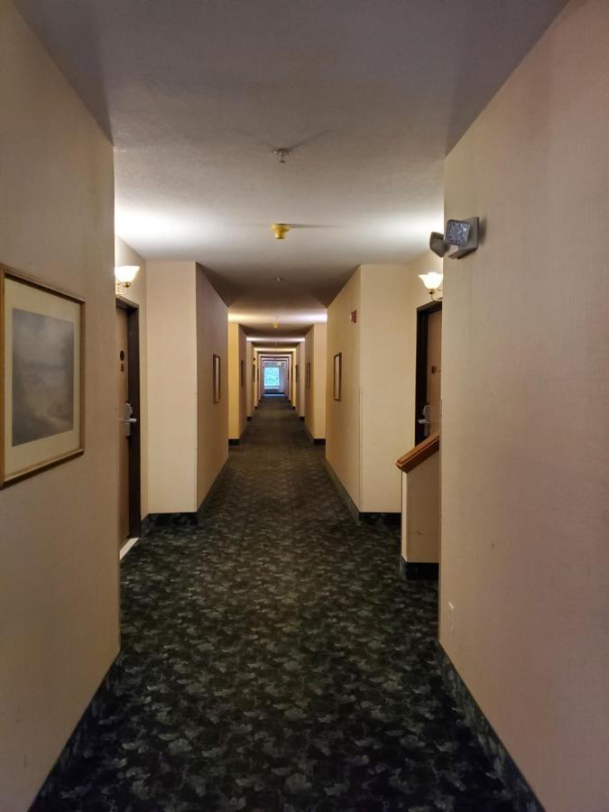 Bellis Inn Bellingham Exteriör bild